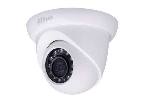 IPC-HDW1020SP-0280B-S3 Street IP camera