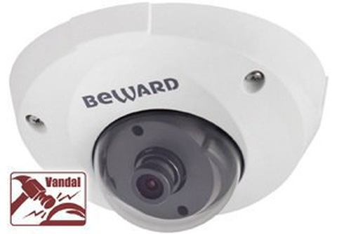 B1210DM Dome IP camera